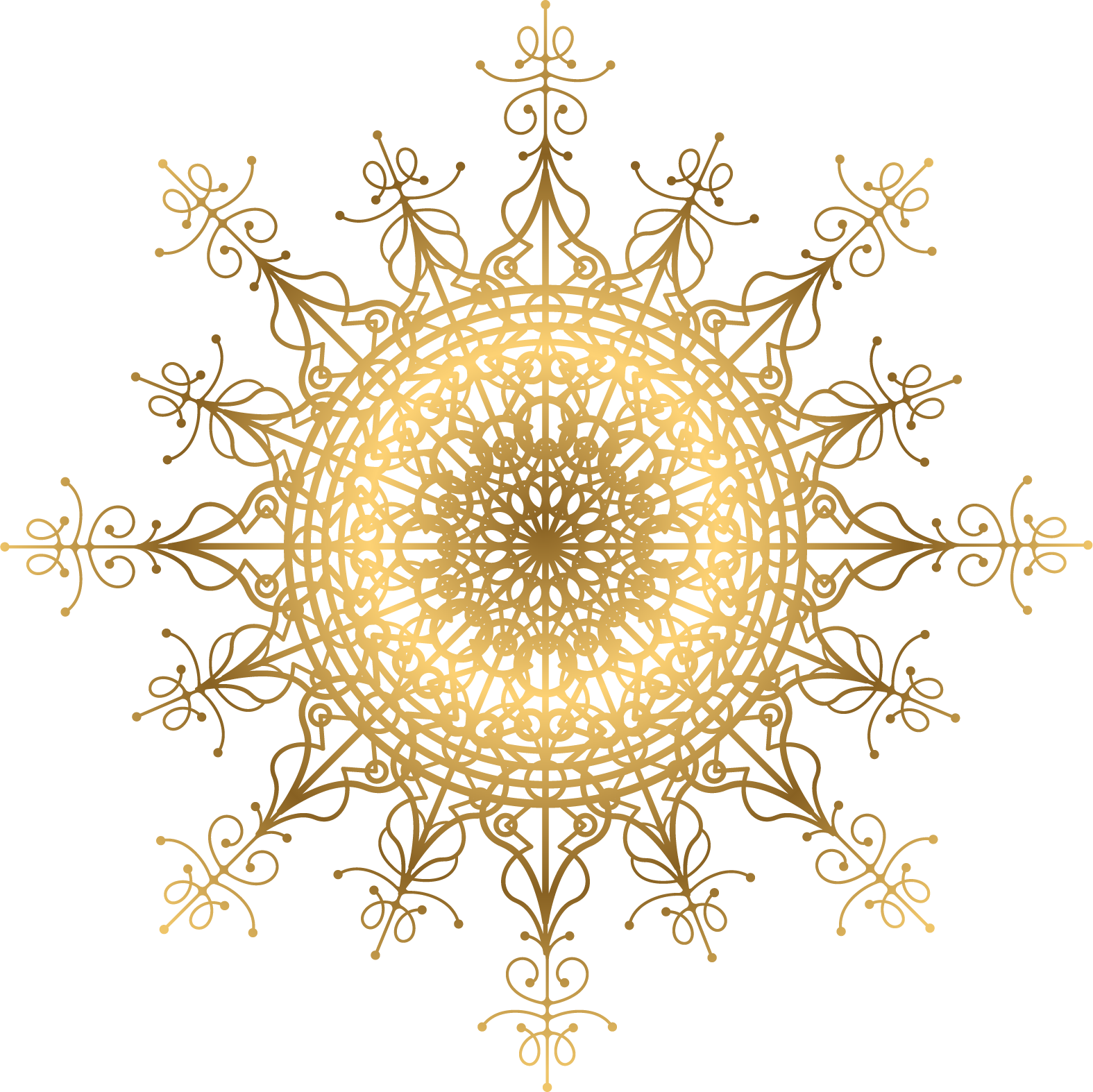 Live Your Dream Guide 